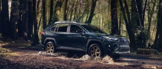 2023 Toyota RAV4 Hybrid Woodland Edition in the woods