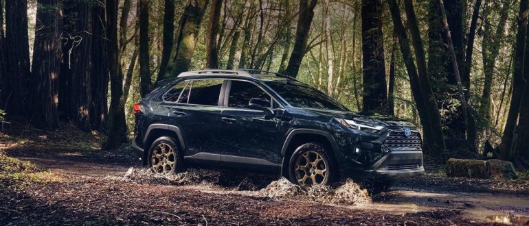 2023 Toyota RAV4 Hybrid Woodland Edition in the woods