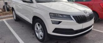 Skoda Karoq: revisitando meus gostos e desgostos após 4 anos de propriedade